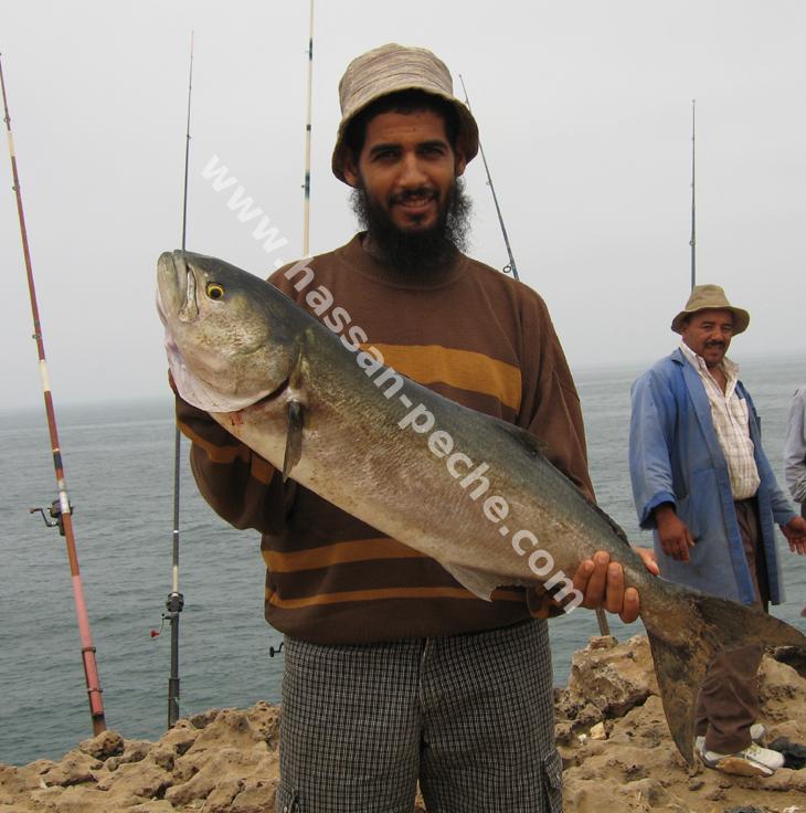 011aaaaabhu.jpg