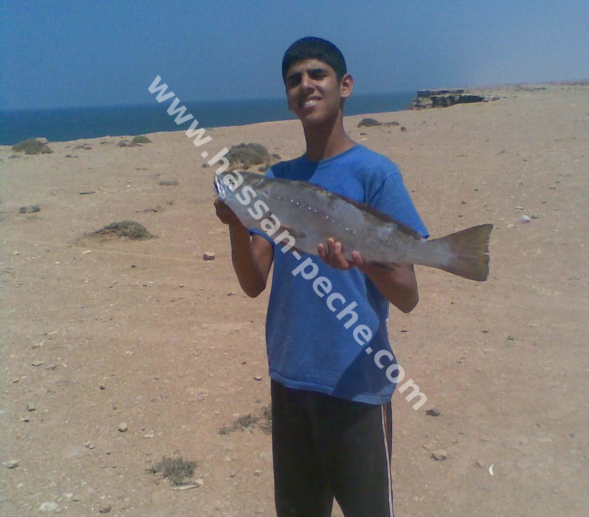 011aaaaabphoto020.jpg
