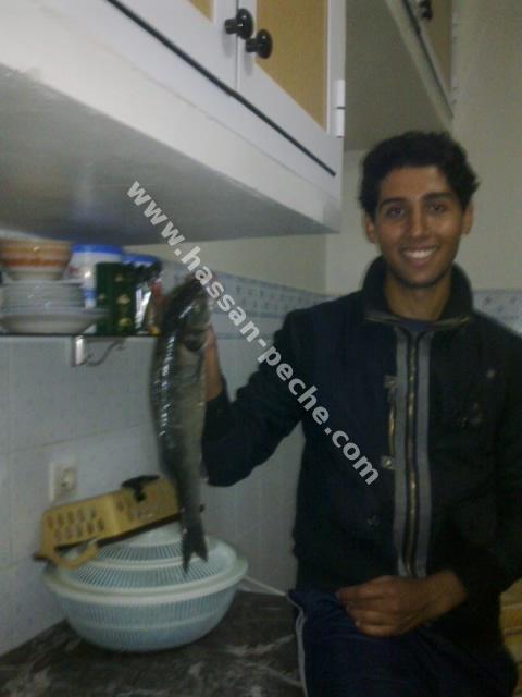 011aaaaabphoto04269.jpg