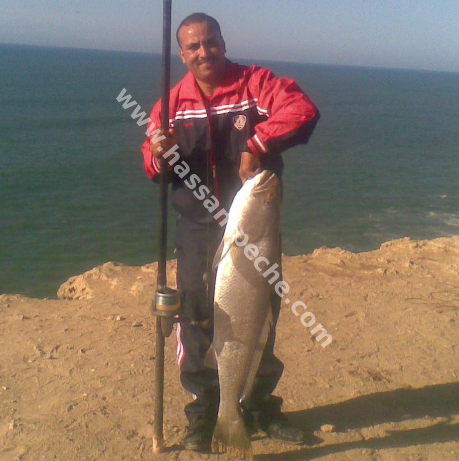 011aaaaabpoooo.jpg