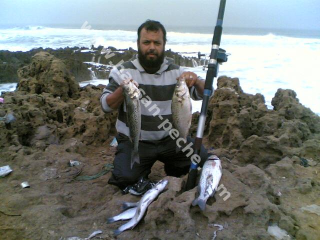 011aaaaabuir.jpg 011aaaaabuir.jpg