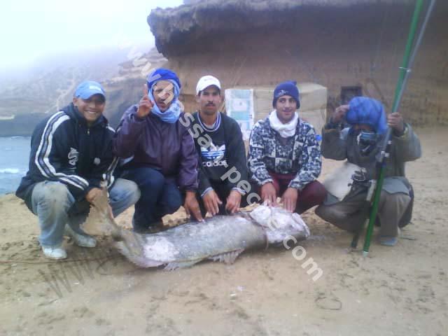 011aaaaad4444.jpg 011aaaaad4444.jpg