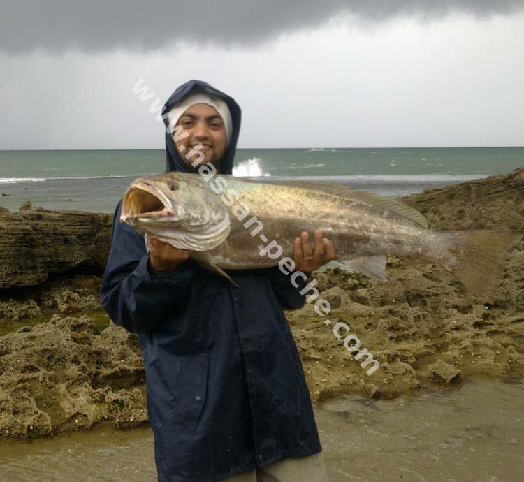 011aaaaadfghhhhhohhh.jpg 011aaaaadfghhhhhohhh.jpg