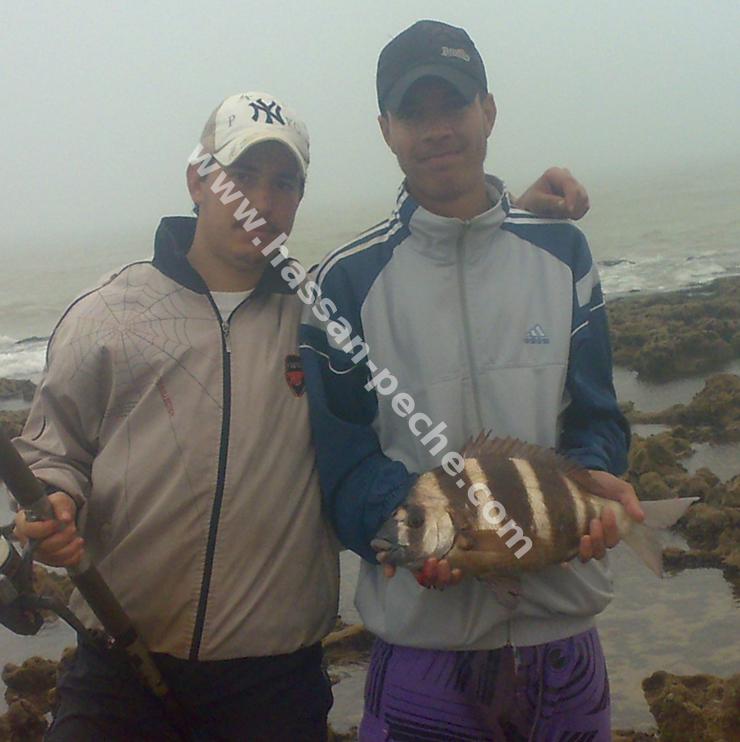 011aaaaae261082011024.jpg