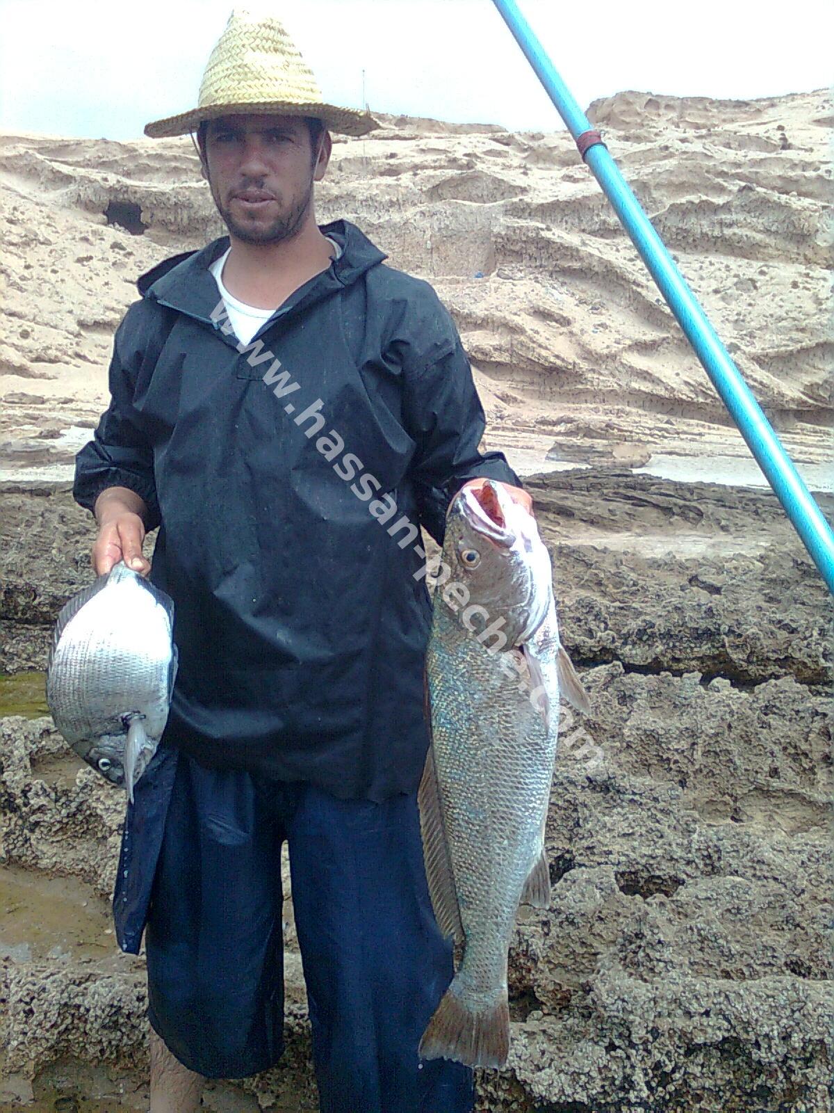 011aaaaaephoto0126.jpg