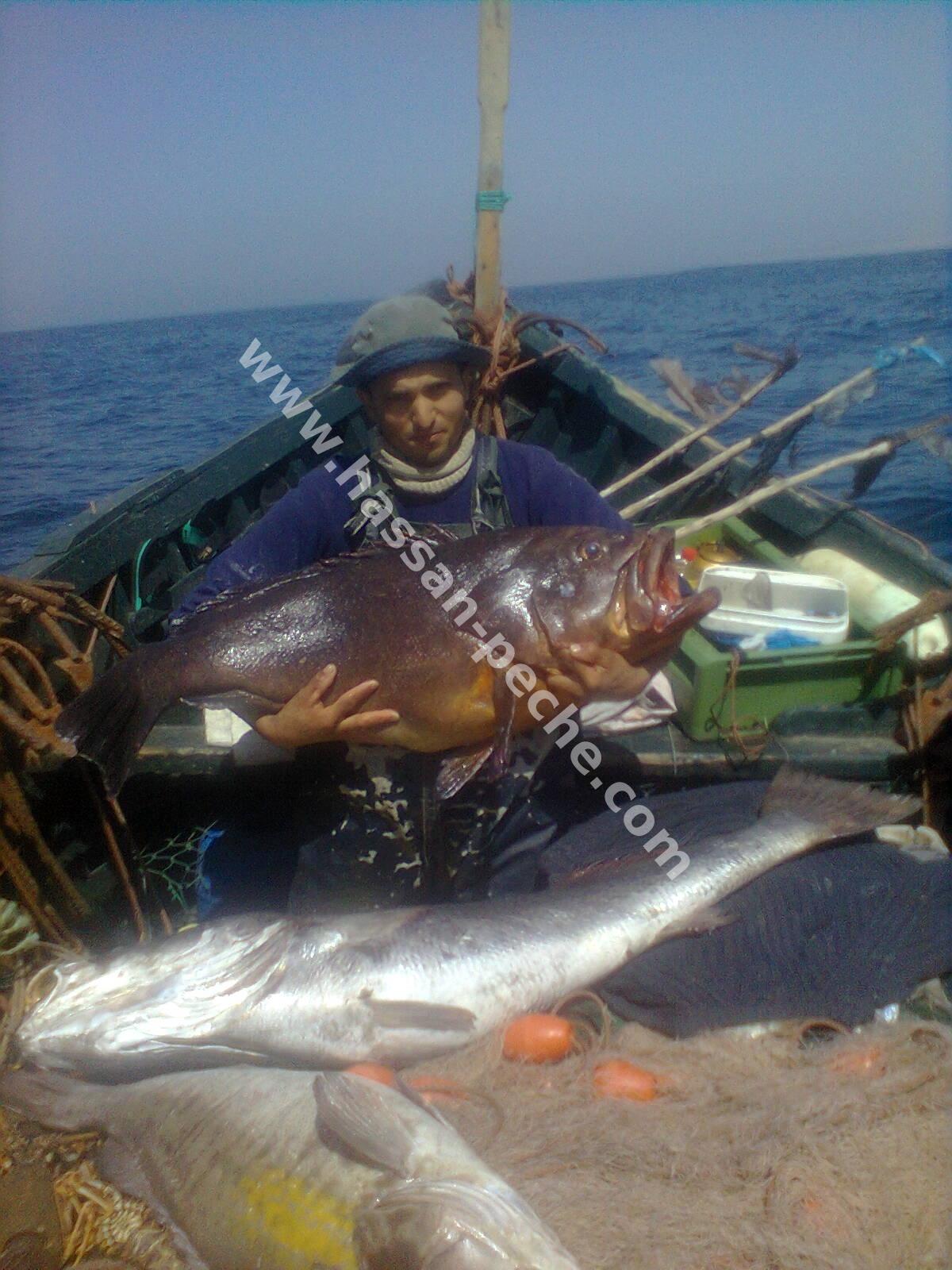 011aaaaampm33573.jpg