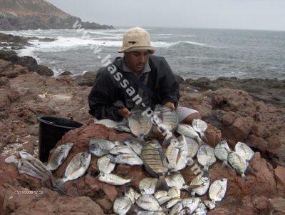 011aaaacccccccfr.jpg