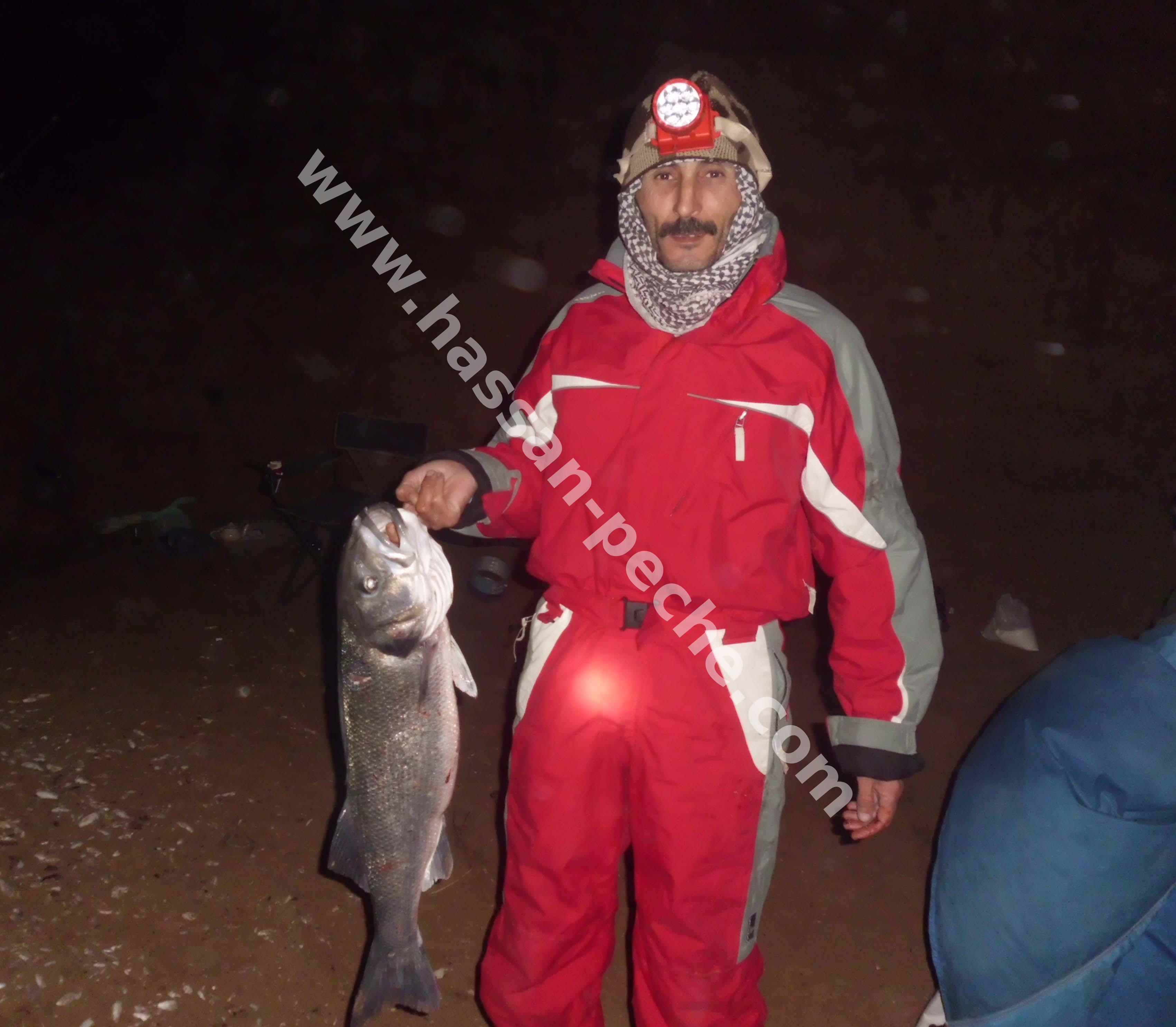 011aaaacimg047599.jpg
