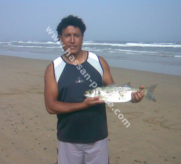 011aaaaaephoto036.jpg