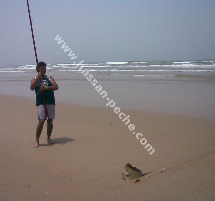 011aaaaaephoto0363.jpg