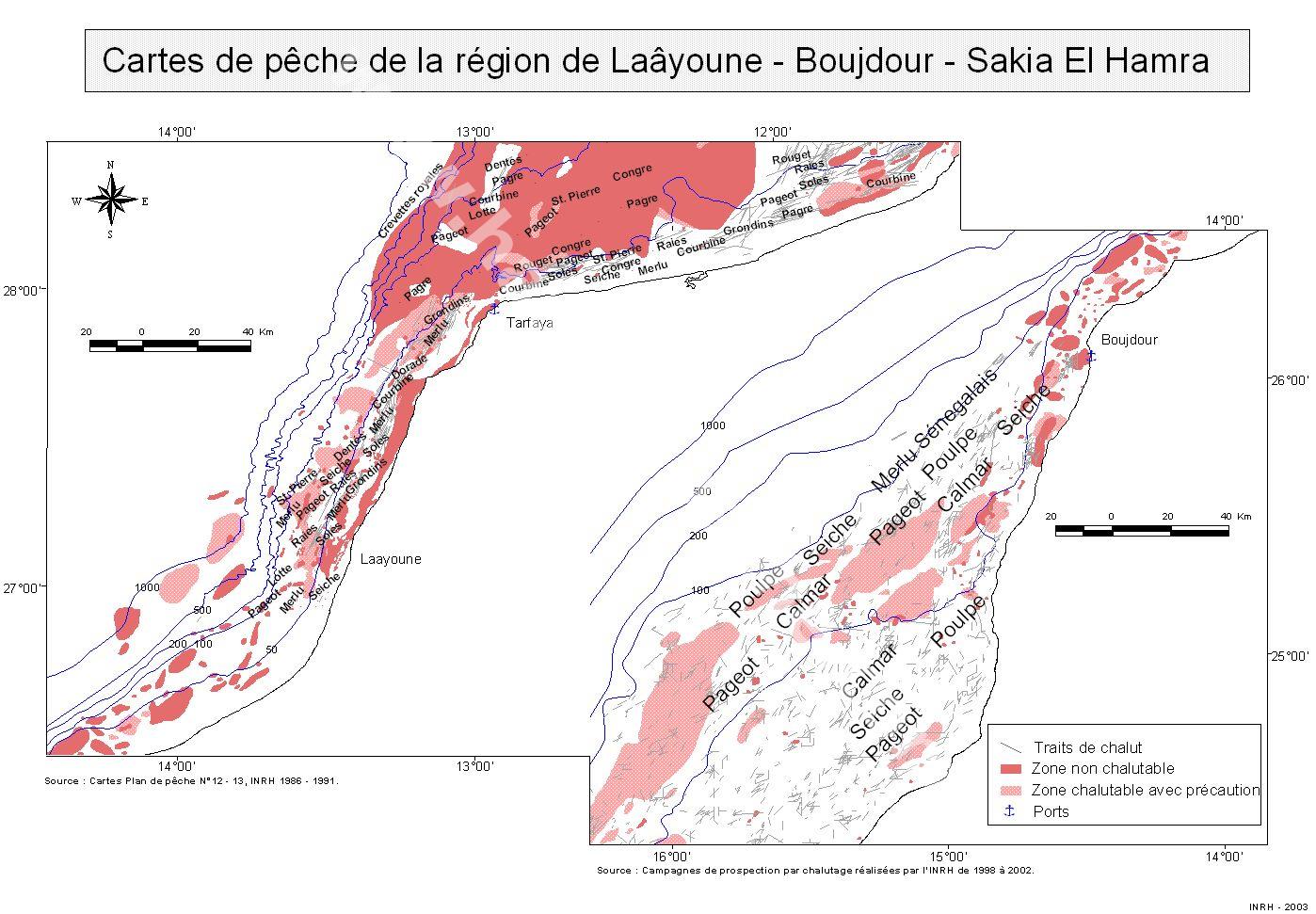 100laayoune.jpg